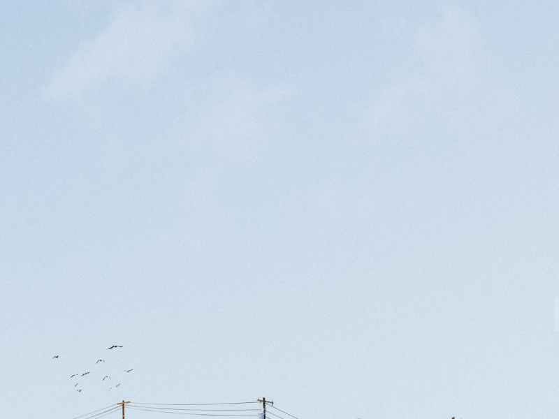 Michael | Alexander&nbsp;Voorhees