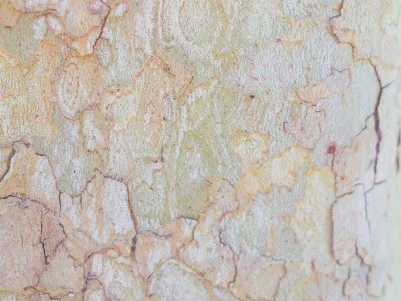 Last Normal Day Series – Aria&nbsp;Gerson