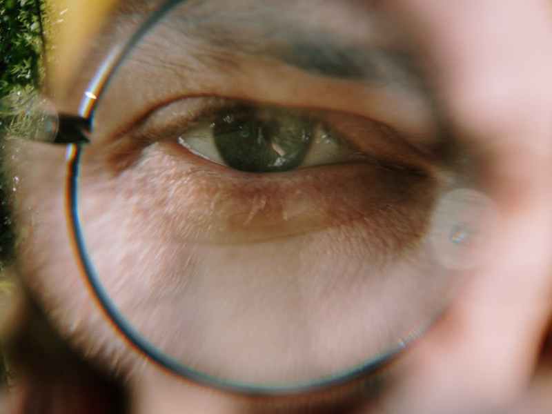 Oh For the Love of Sight | Julia&nbsp;Meguid