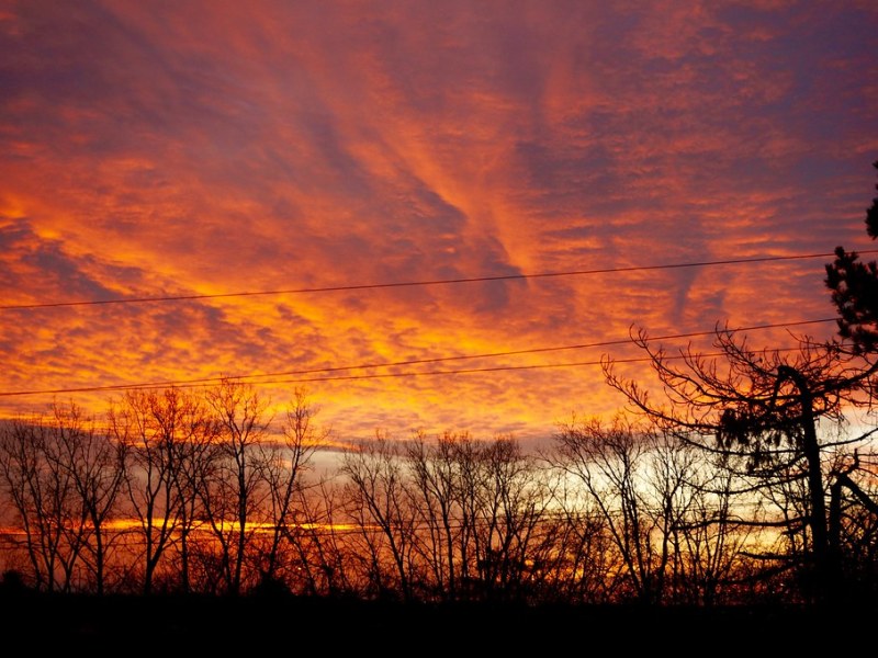 Peace | Haley&nbsp;Newland